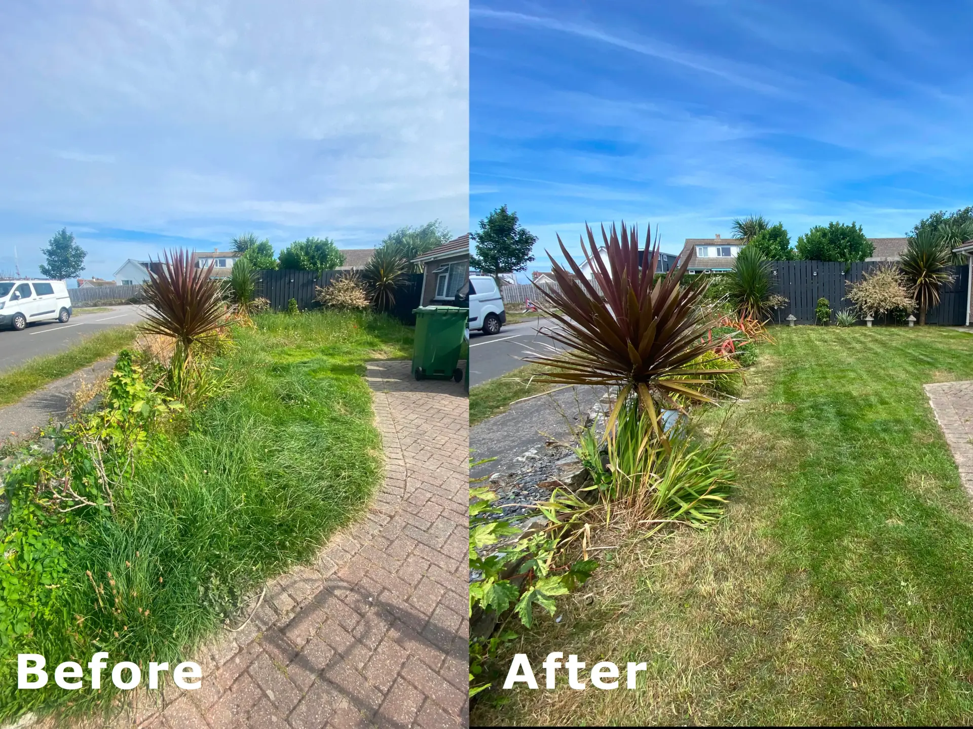 Freshly mown lawn with tidy borders